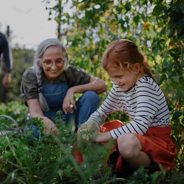 A grandmother and her granddaughter having fun gardening together